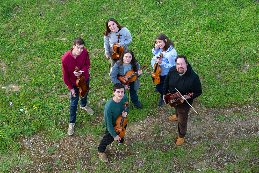 6 Violas