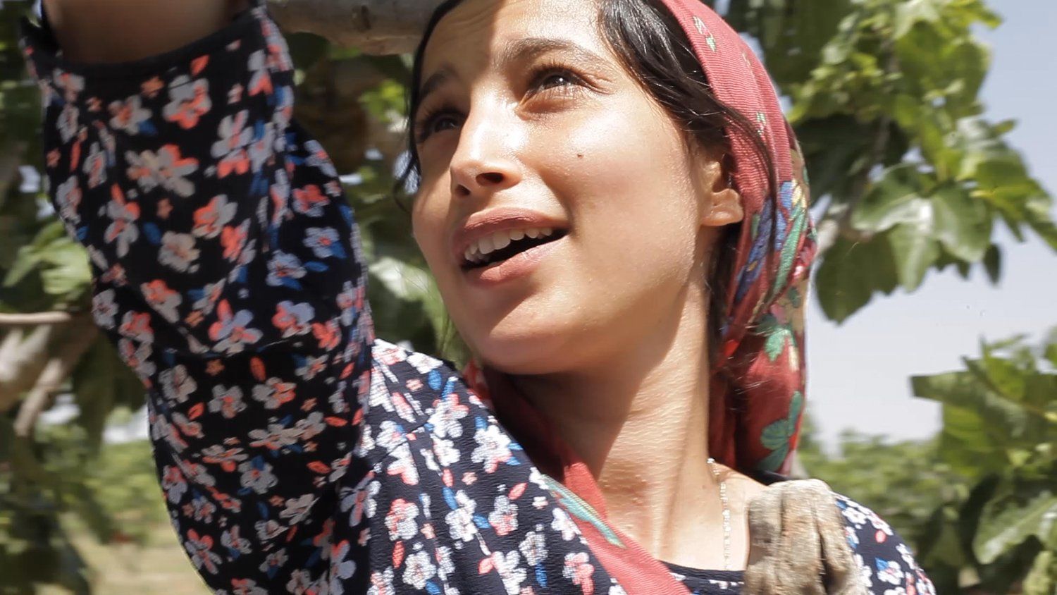 Olhares do Mediterrâneo – Women’s Film Festival