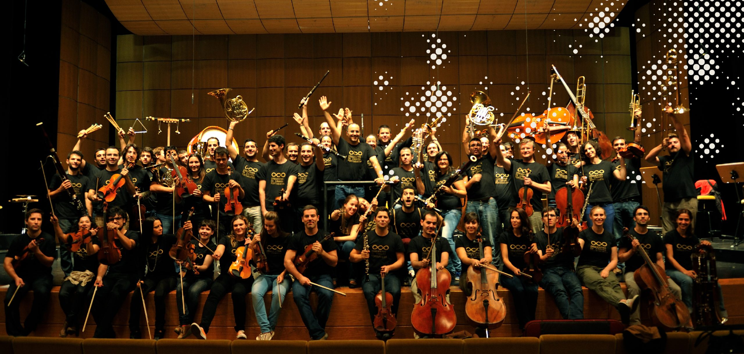 Orquestra de Câmara Portuguesa