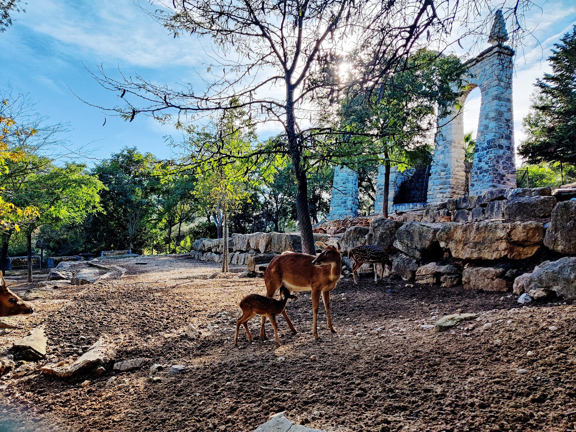 Chegada do Pai Natal