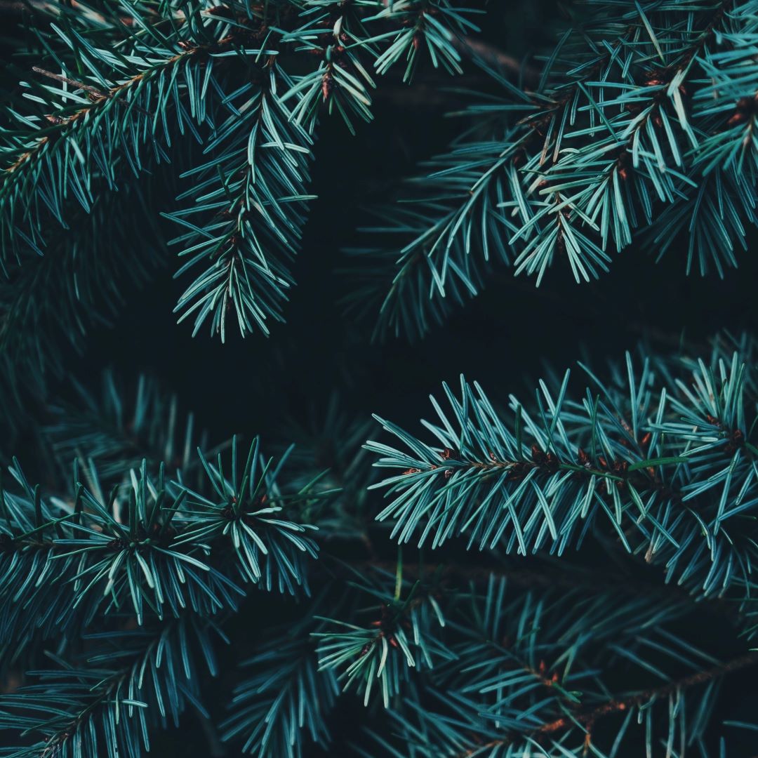 Concerto de Natal da EPM