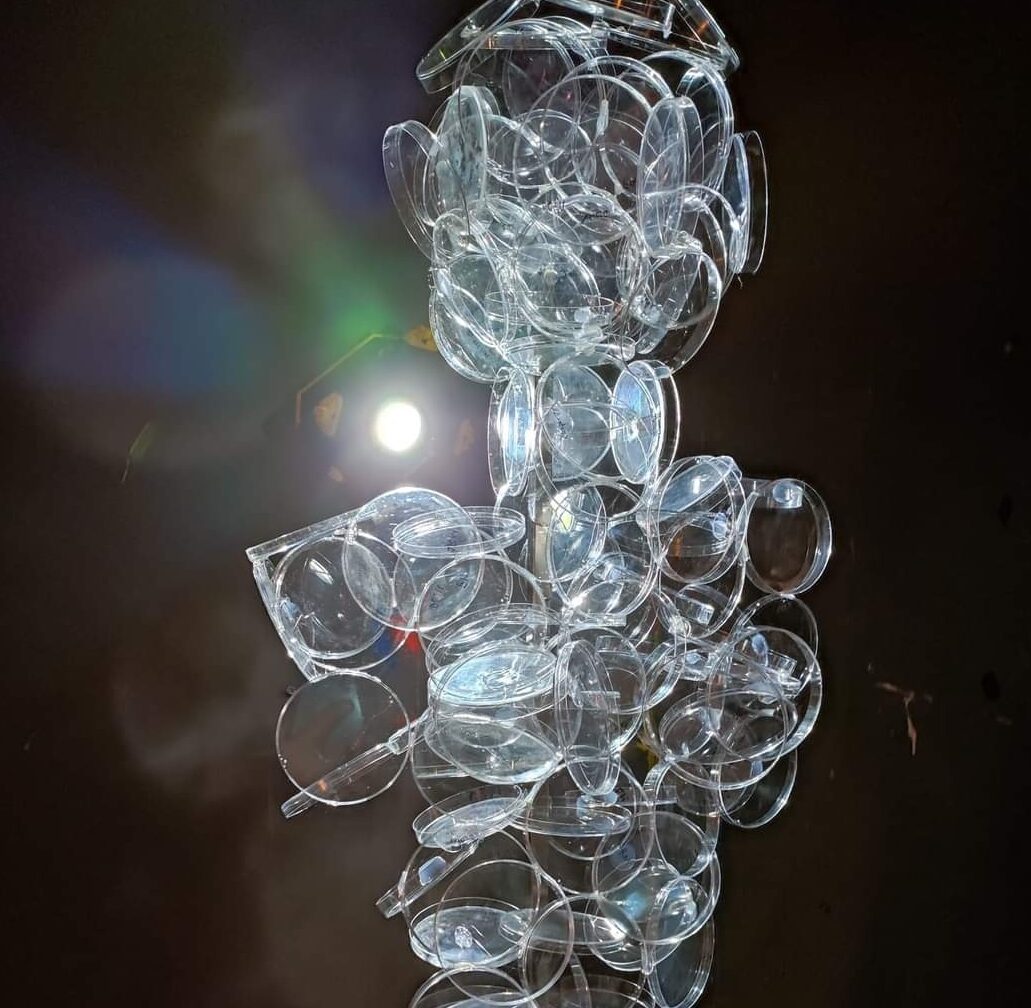 Clotilde Bourgard
