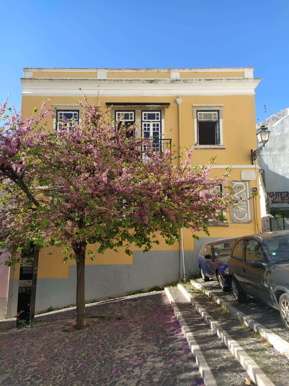 A Lisboa de Mário Dionísio