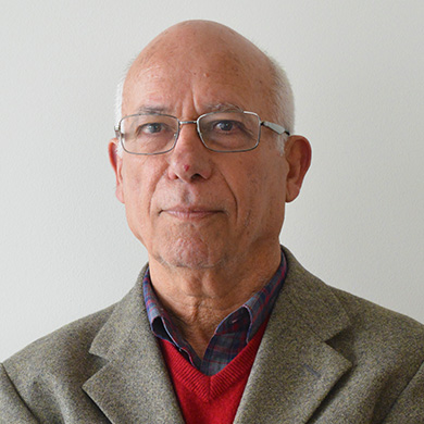 Arte Médica e Filosofia em Francisco Sanches