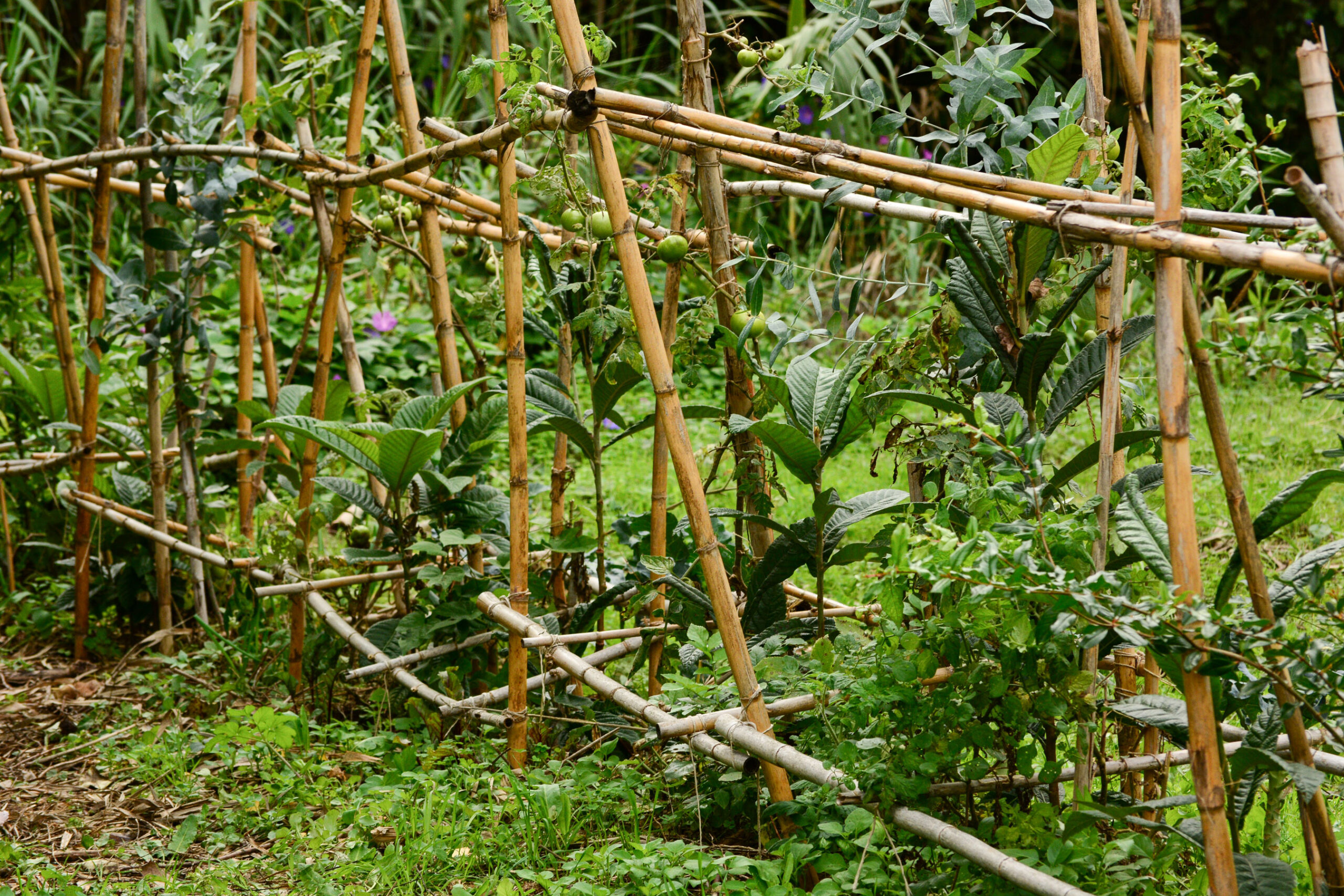 Jardins Abertos