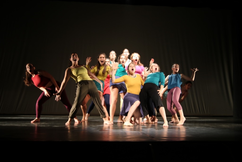 Ciclo 6