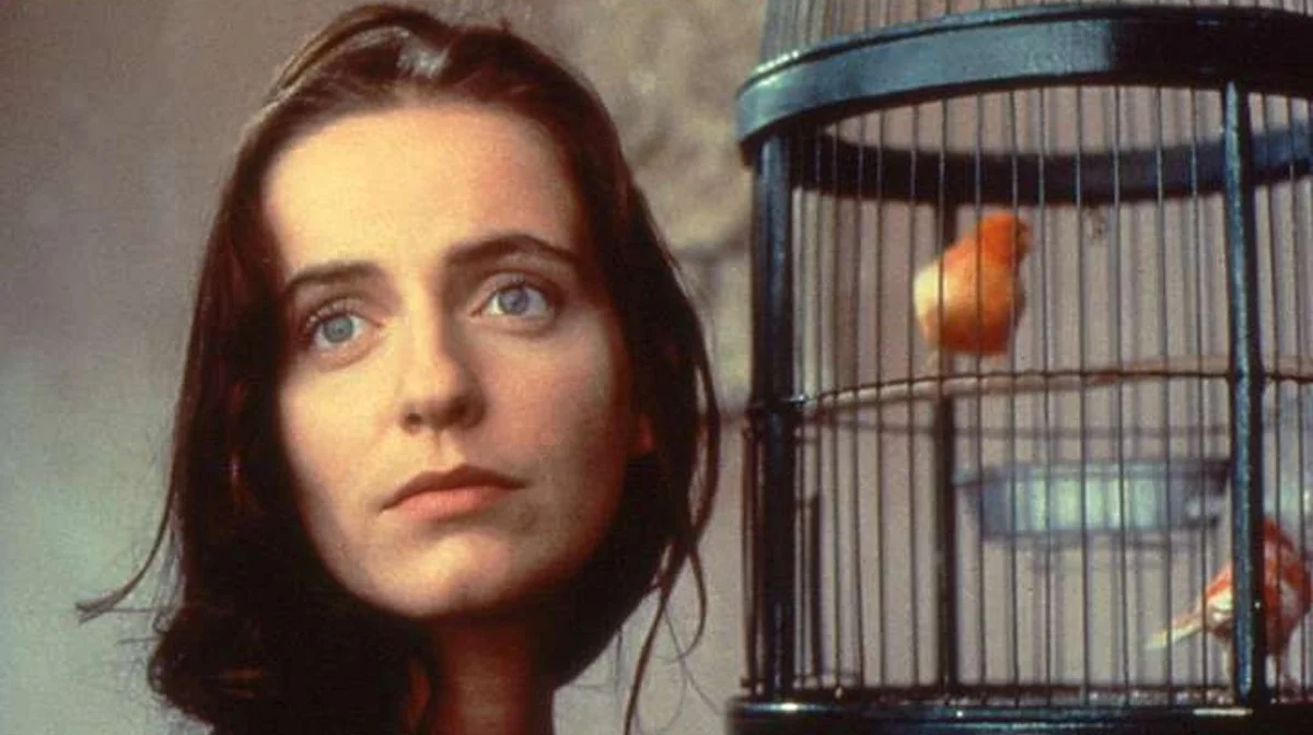 “Clássicos” do Cinema Moderno