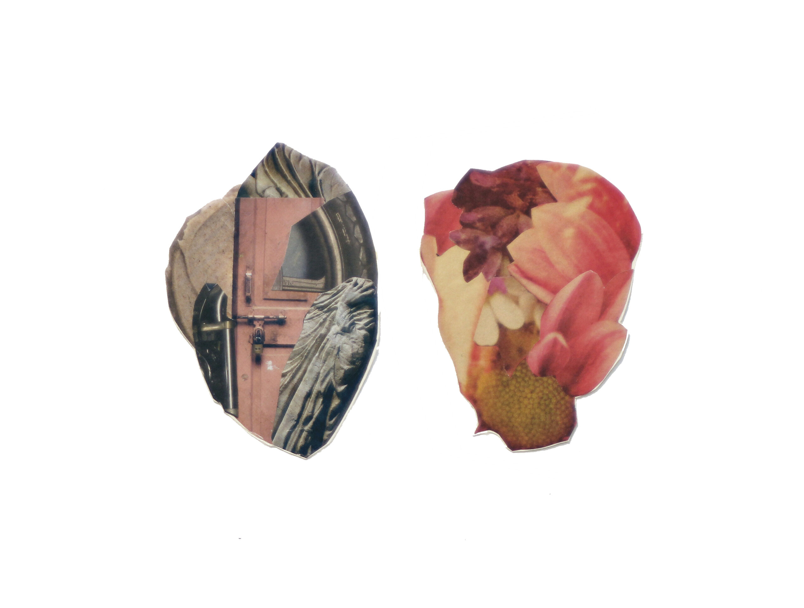 Nina Fraser e Paola D’Agostino