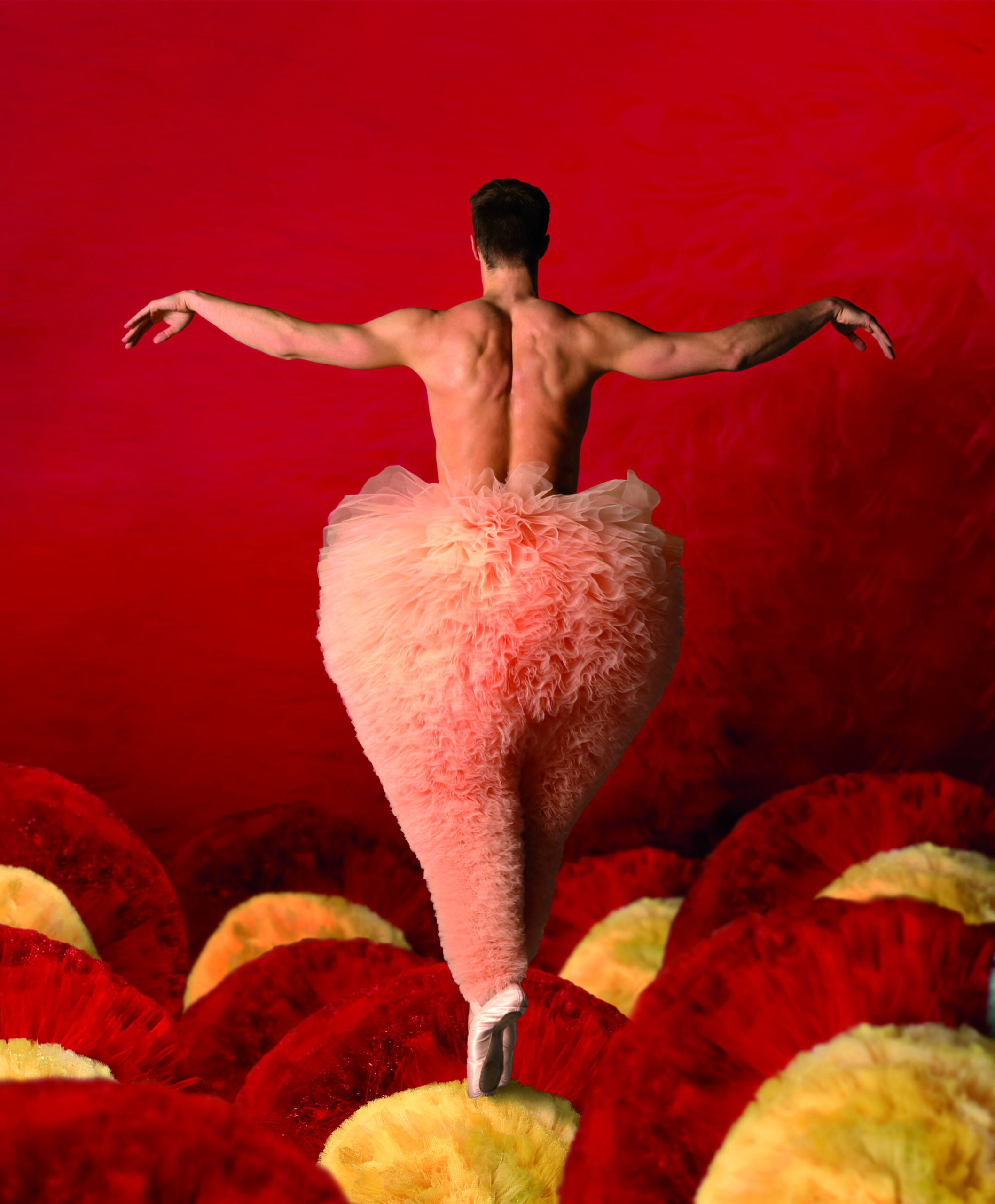 Tutu