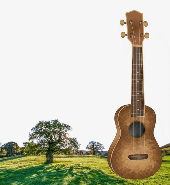 Ukulele no Jardim