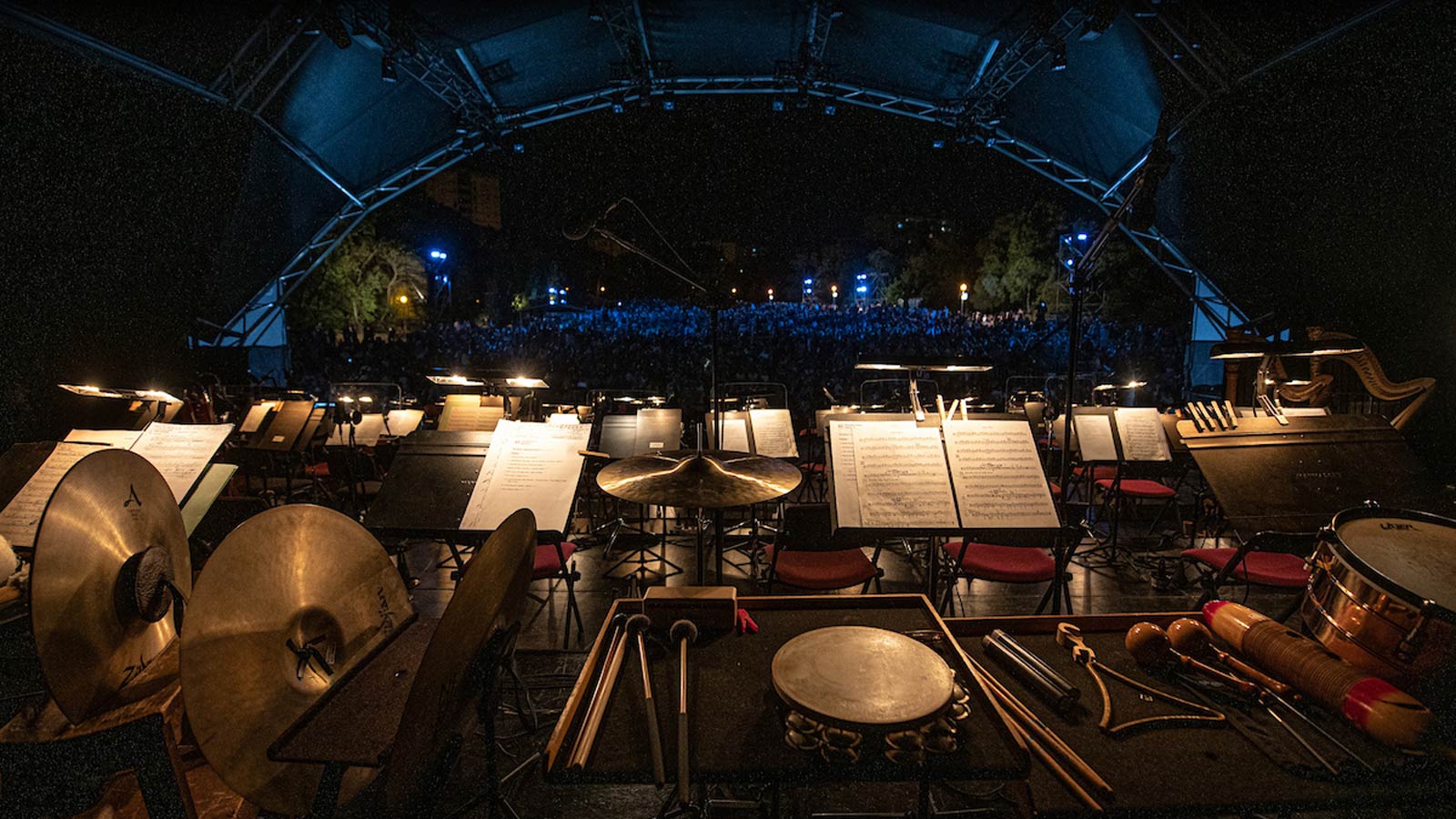 Concerto a John Williams