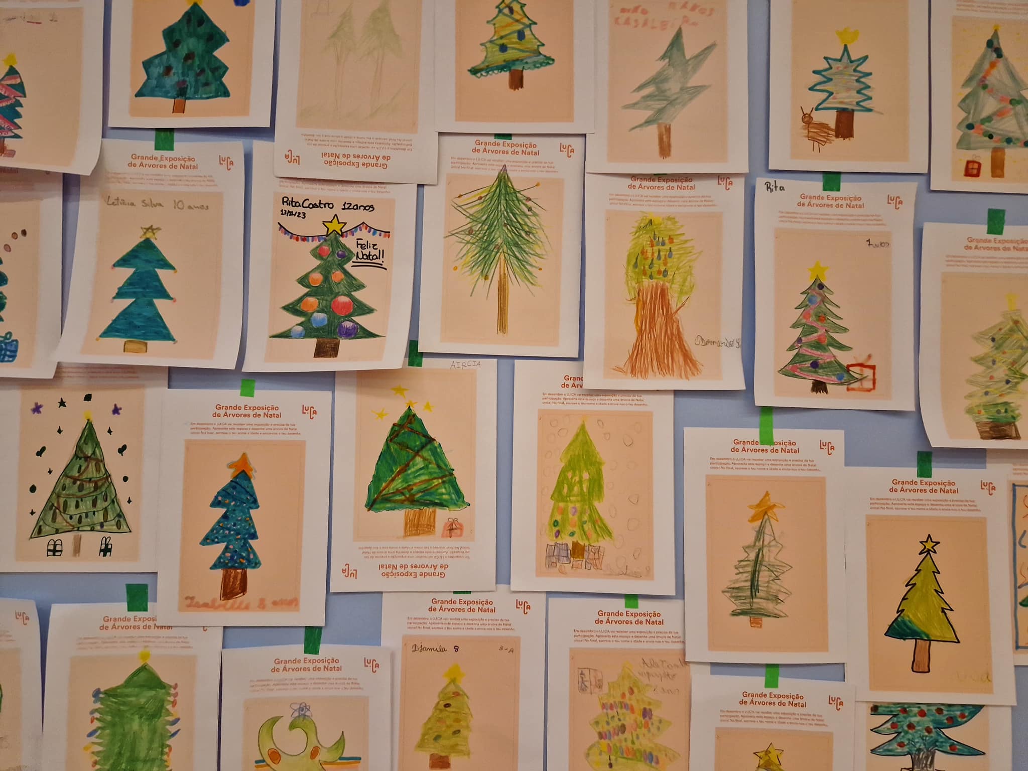 A Grande Exposição de Árvores de Natal