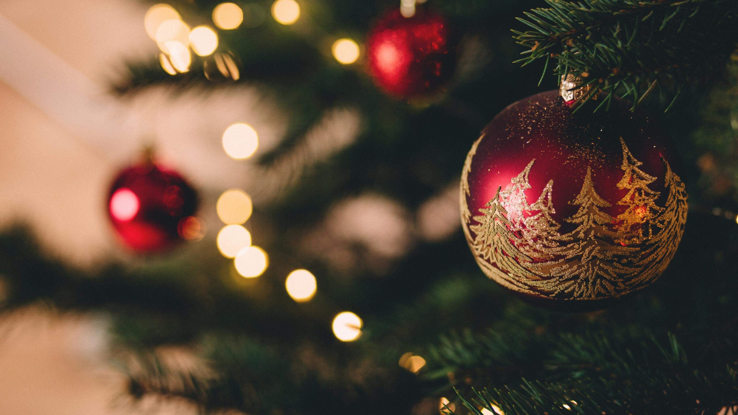 Natal com livros e leitores