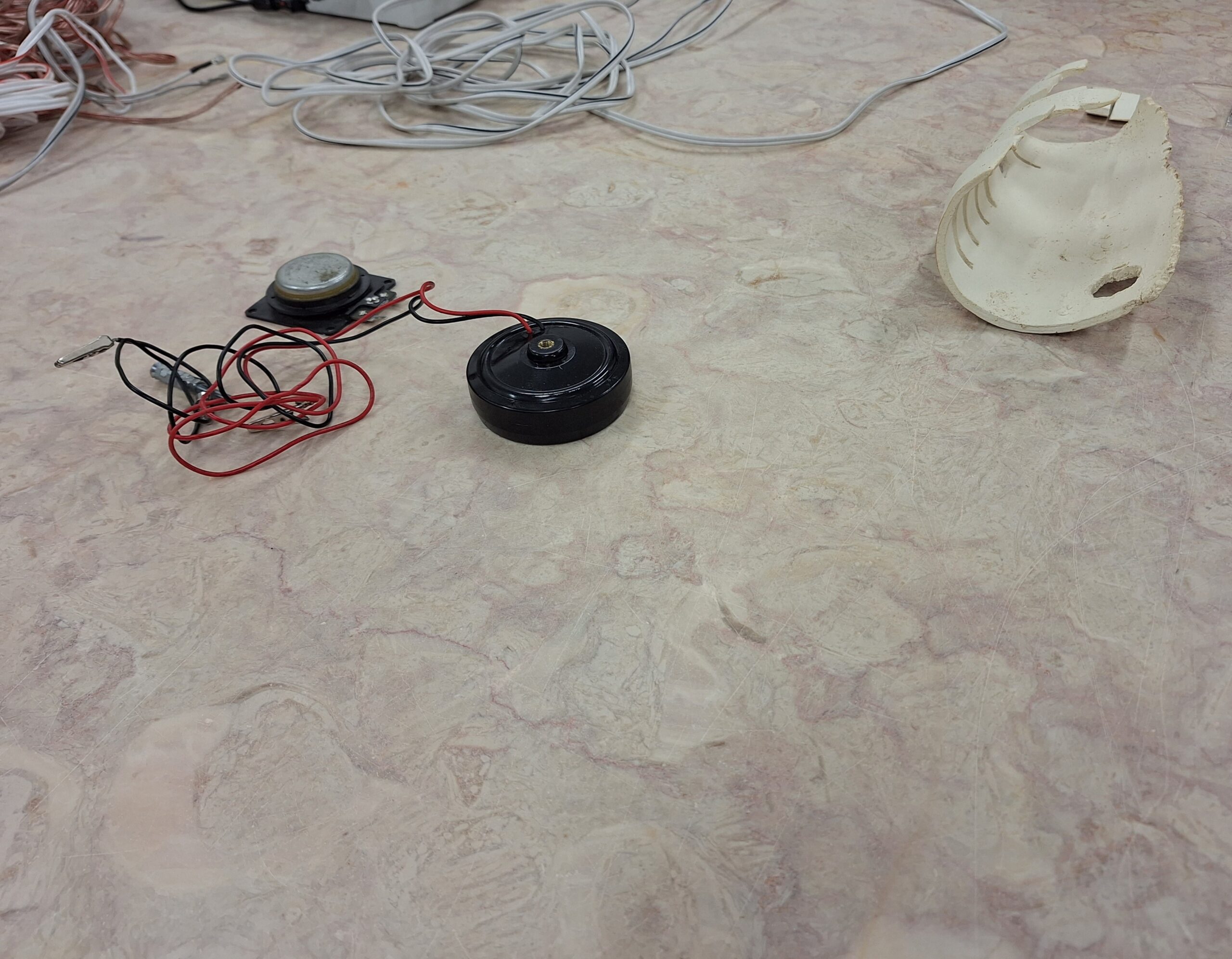 Corpos Sonoros Podem ser Especulados