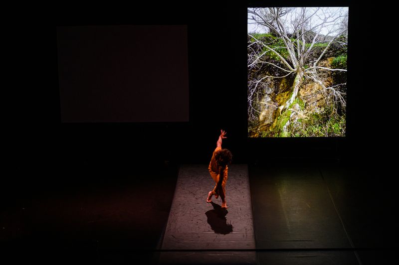 Diário de uma República II