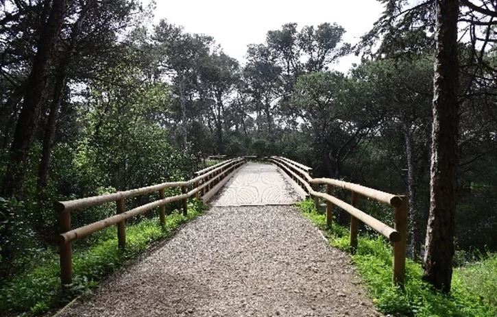 Campo Entrincheirado de Lisboa