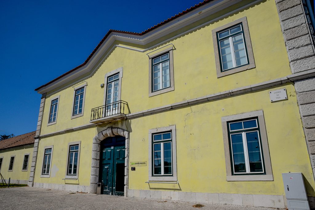 Aquisições. Núcleo de Arte Contemporânea da CML