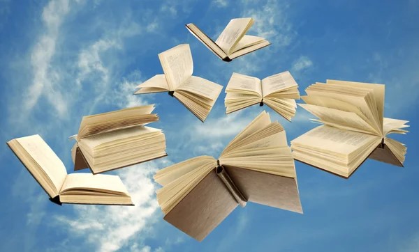 Se a minha vida fosse um livro…