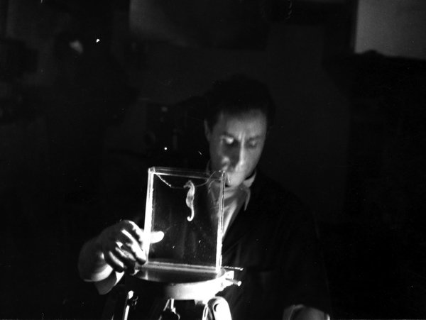 Jean Painlevé