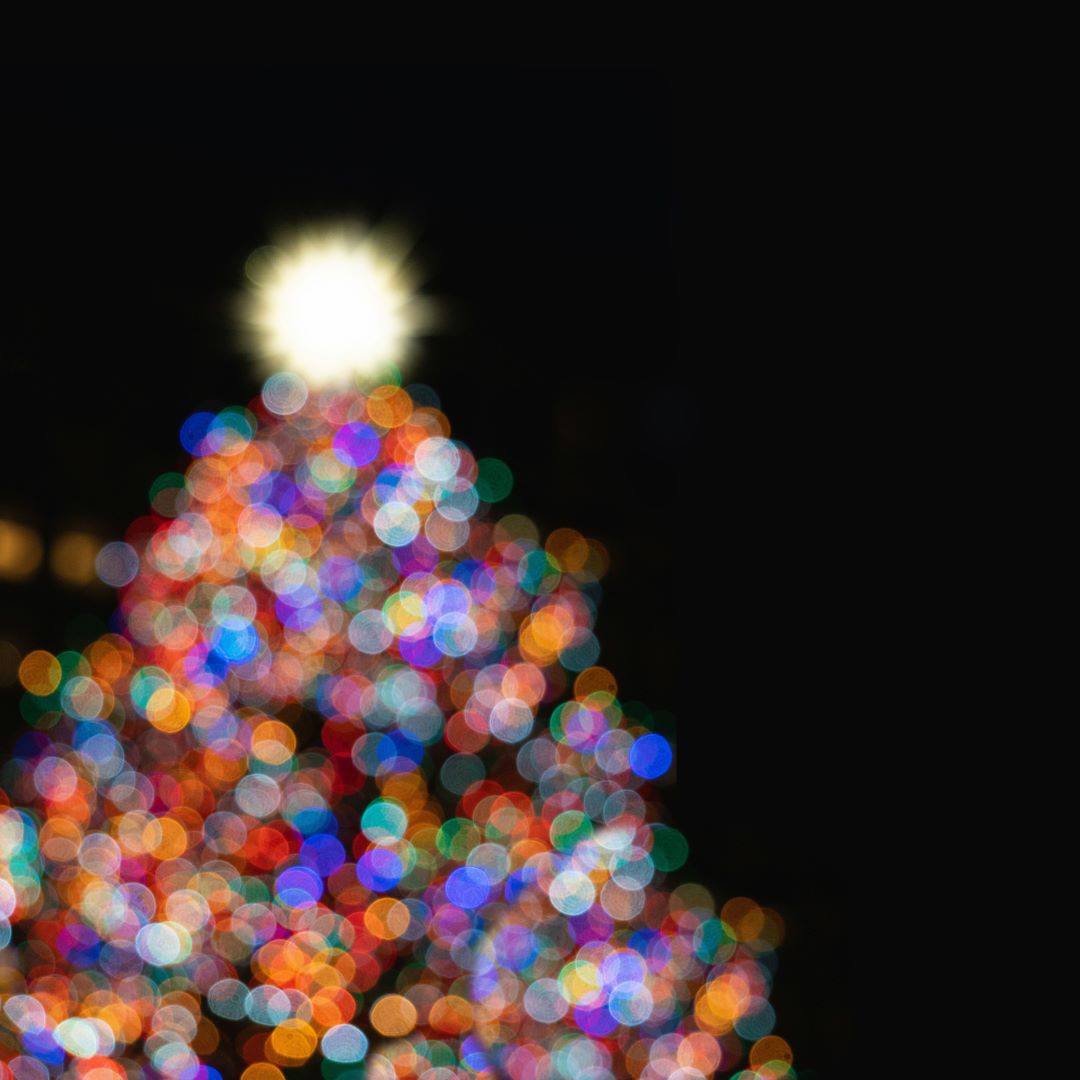 Concerto de Natal da Escola Profissional da Metropolitana