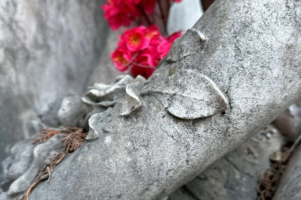 Visitas aos Cemitérios de Lisboa