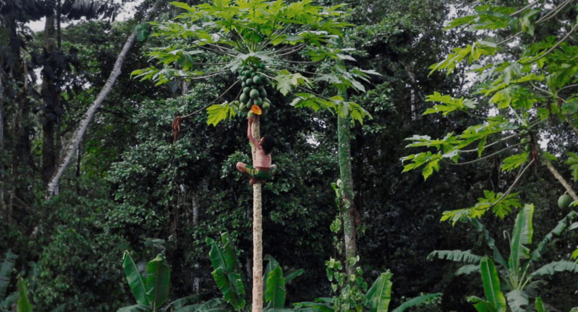 ‘Águas do Pastaza’ de Inês T. Alves