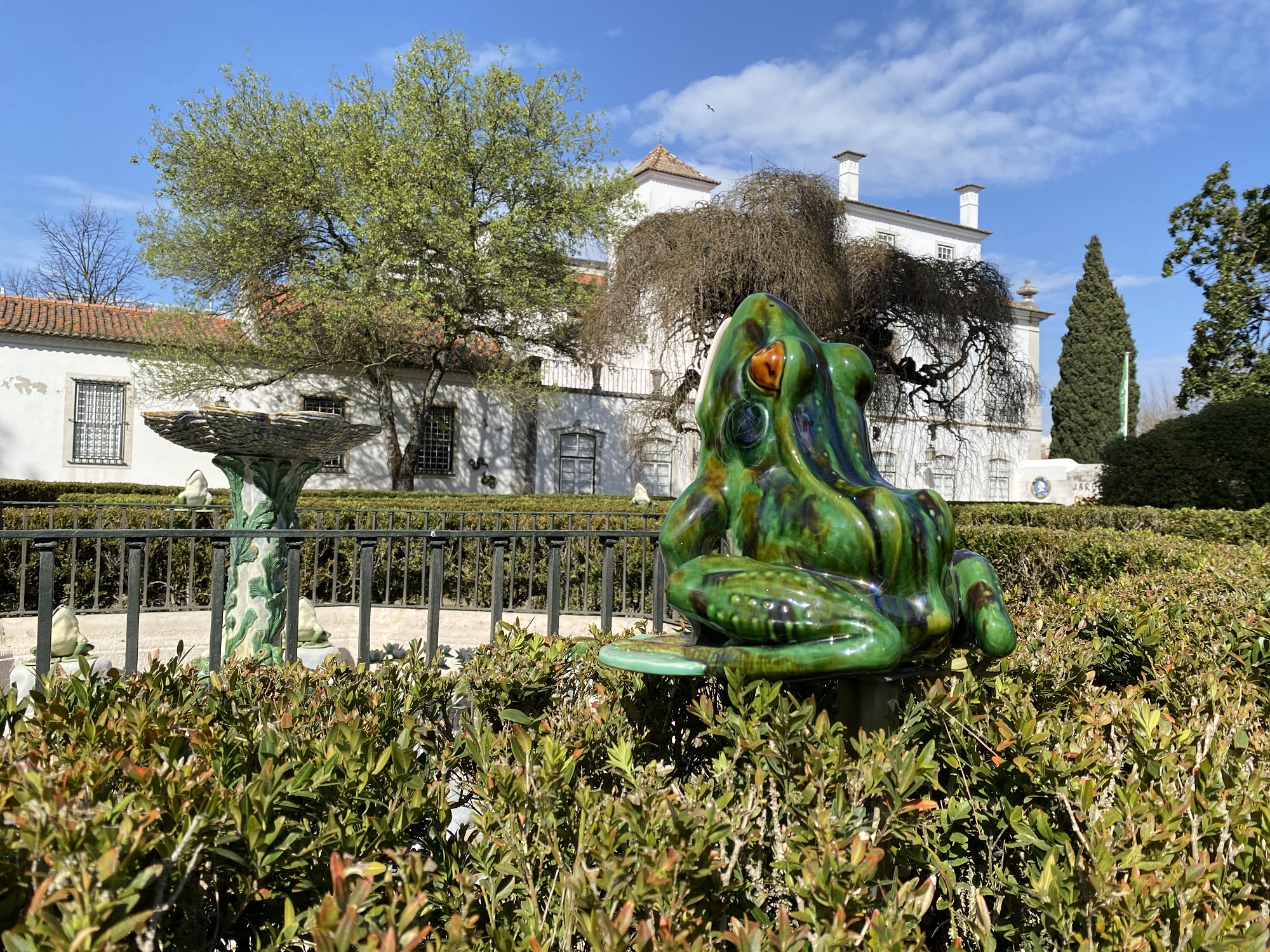 Biodiversidade na cidade