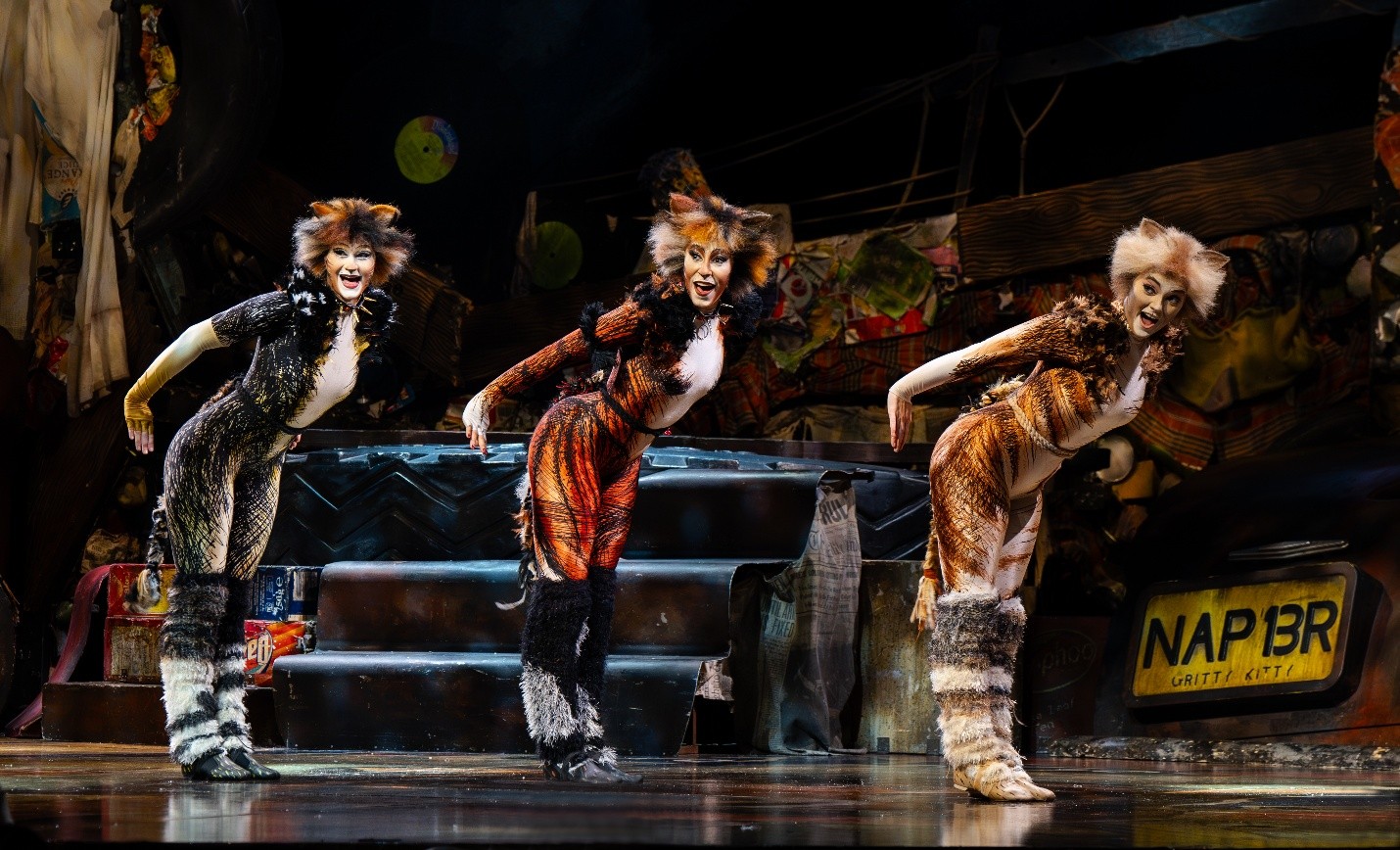 Cats