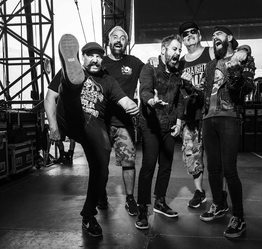 Zebrahead