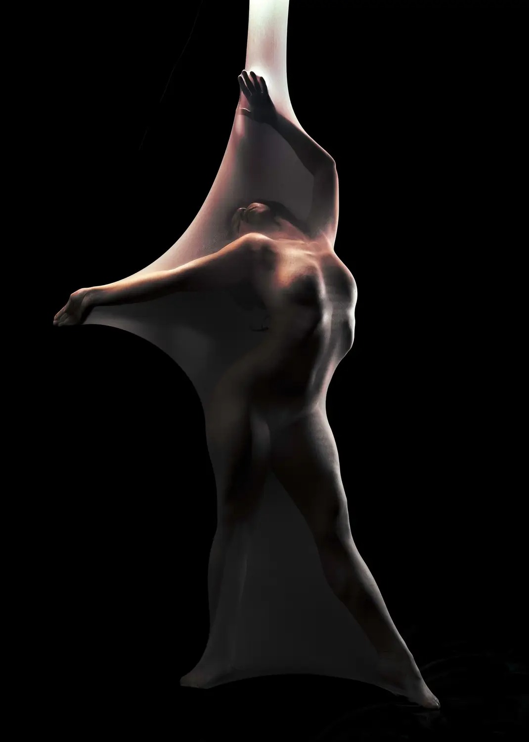 Life Drawing by Ciro Alcarpe
