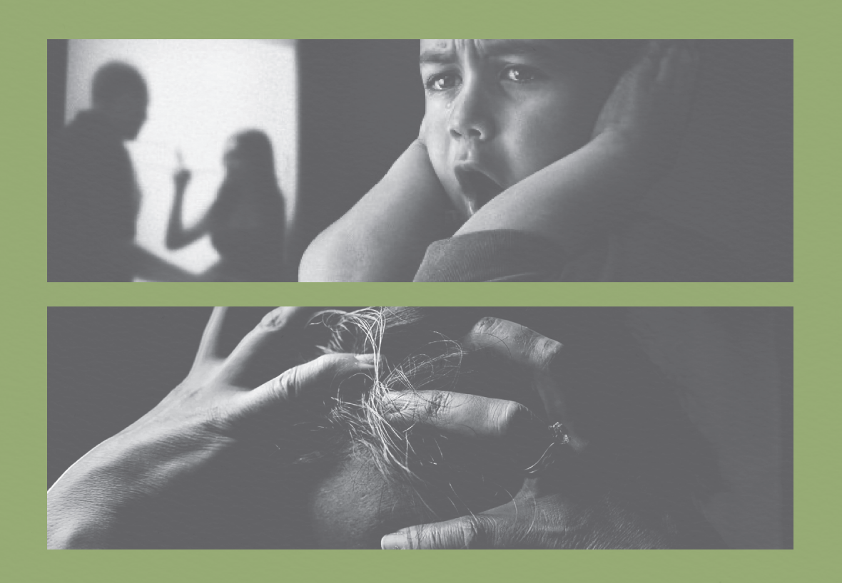 Seminário sobre Violência Doméstica