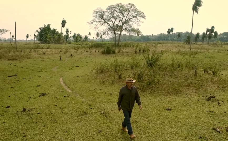 Cine Tuiuiú – Cinema do Pantanal, o nosso tempo