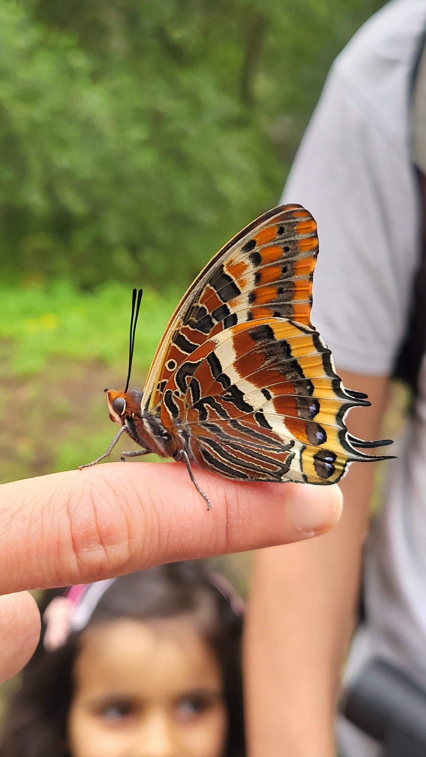 Exploração da natureza