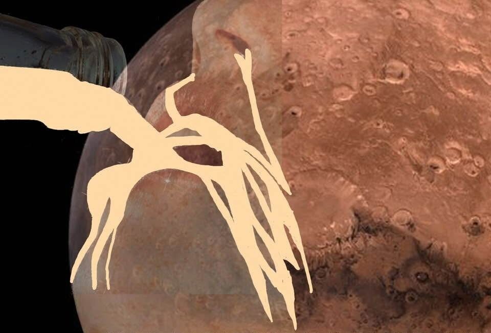 Um estranho numa terra estranha