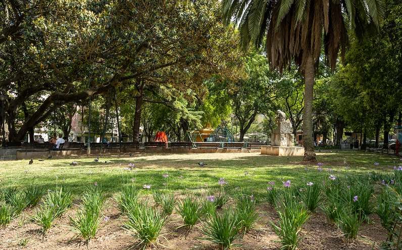 Jardim Constantina