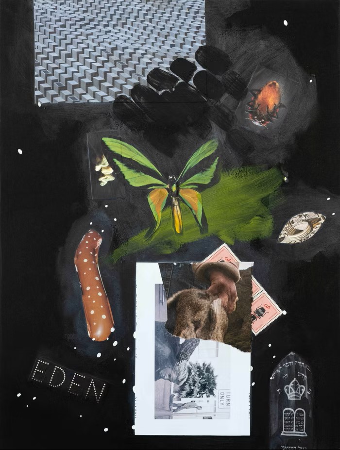 Birte Bosse
