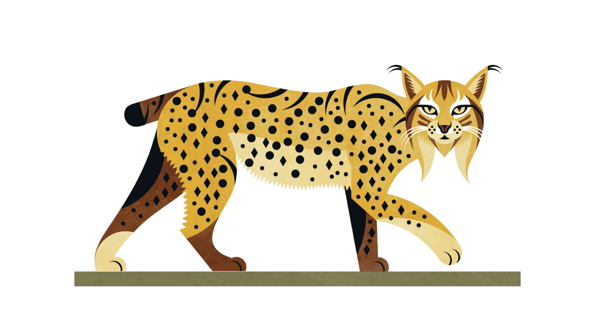Missão Lince