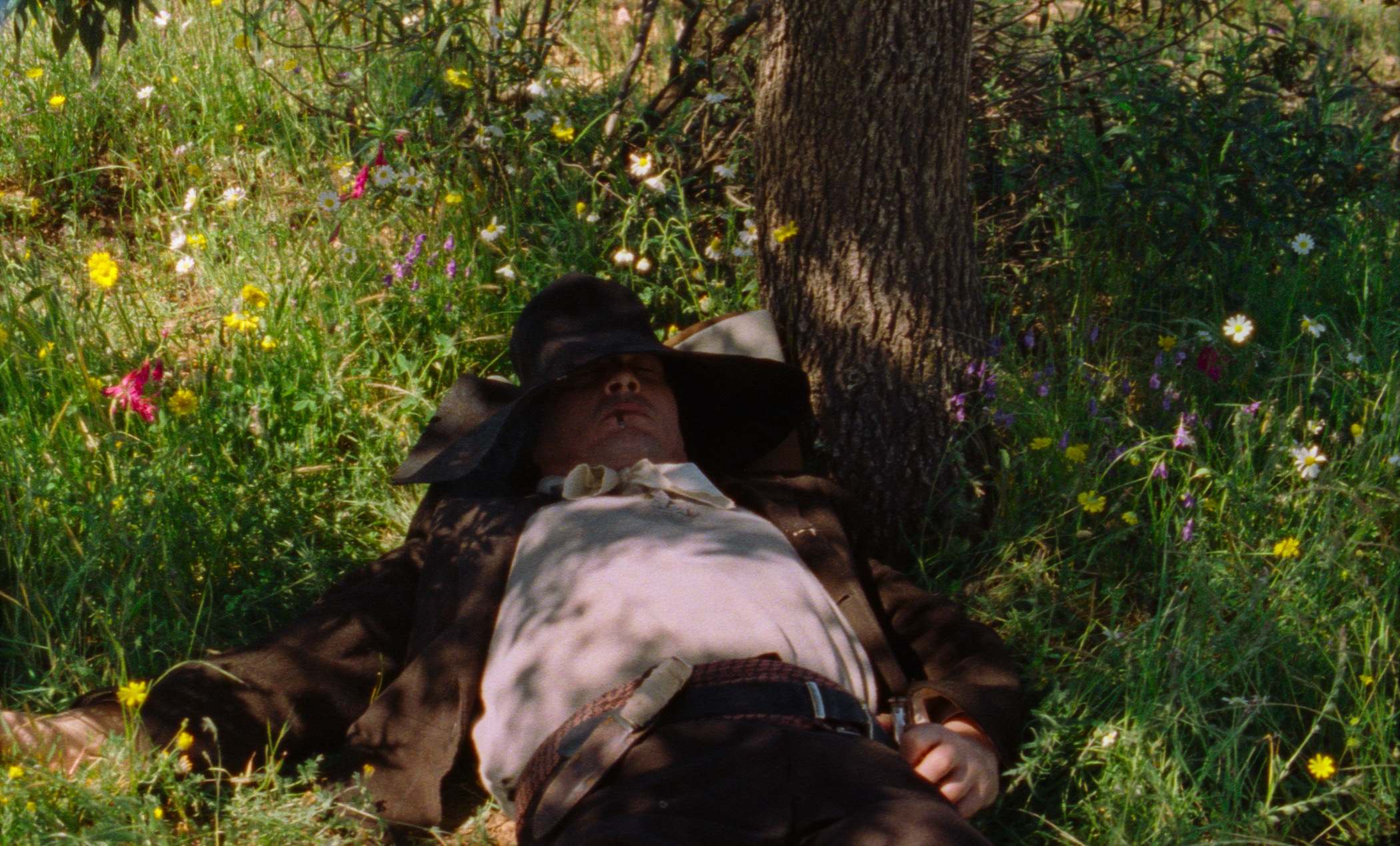 As estreias da semana