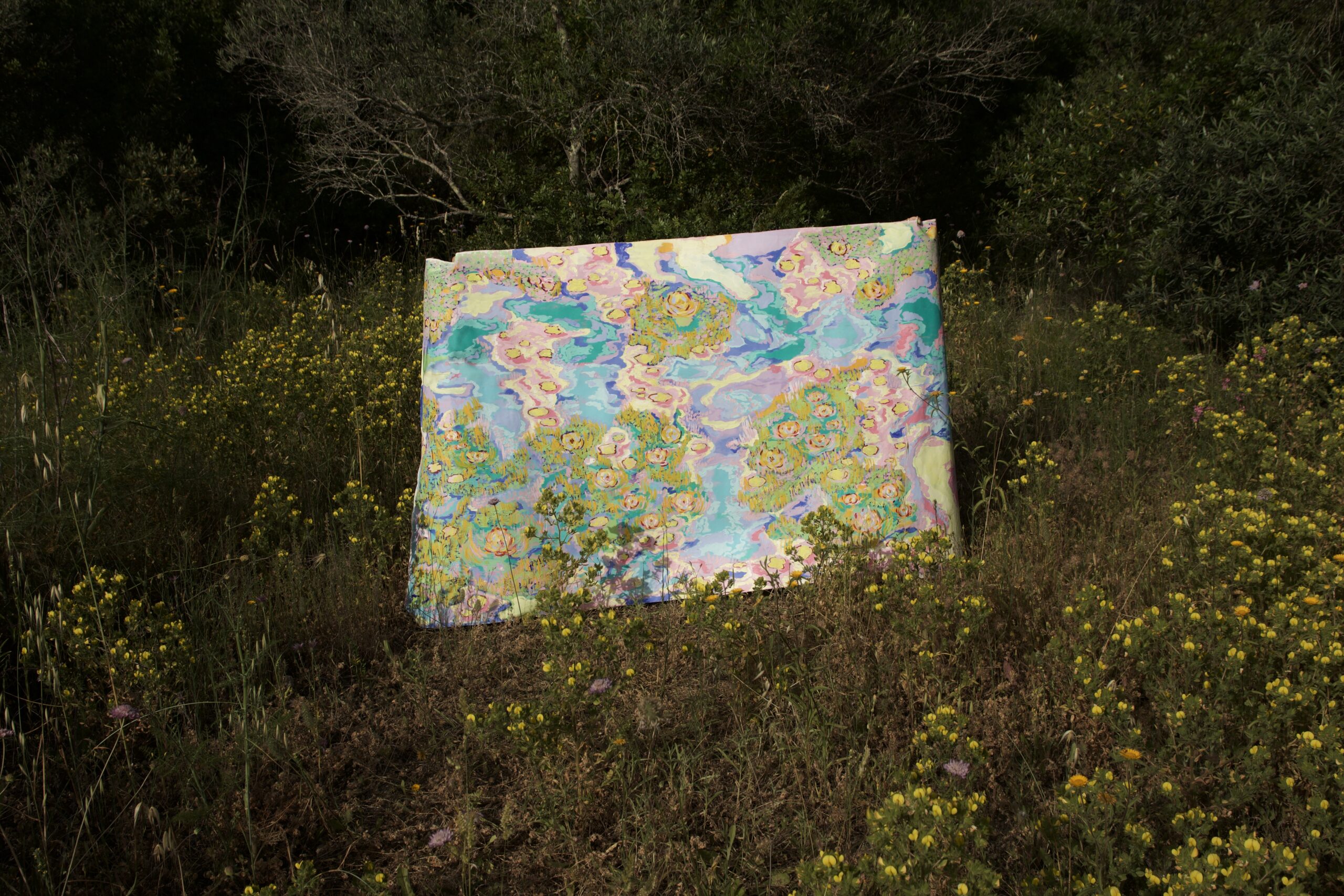 Lúcia Guerreiro Leon