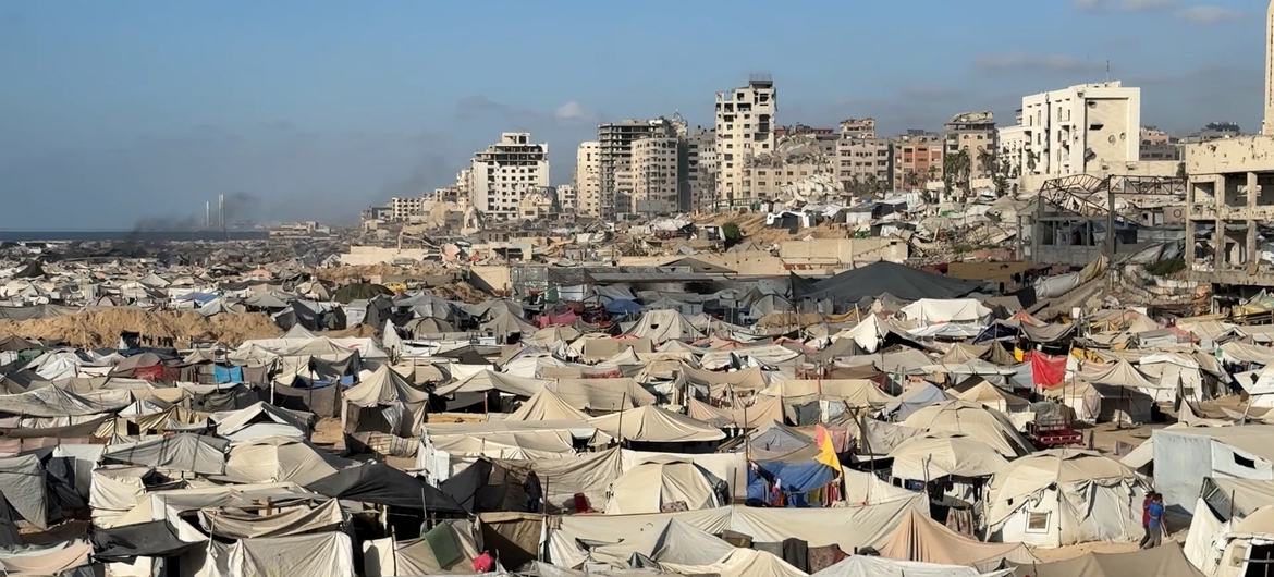 Ciclo Pensar Palestina na NOVA FCSH