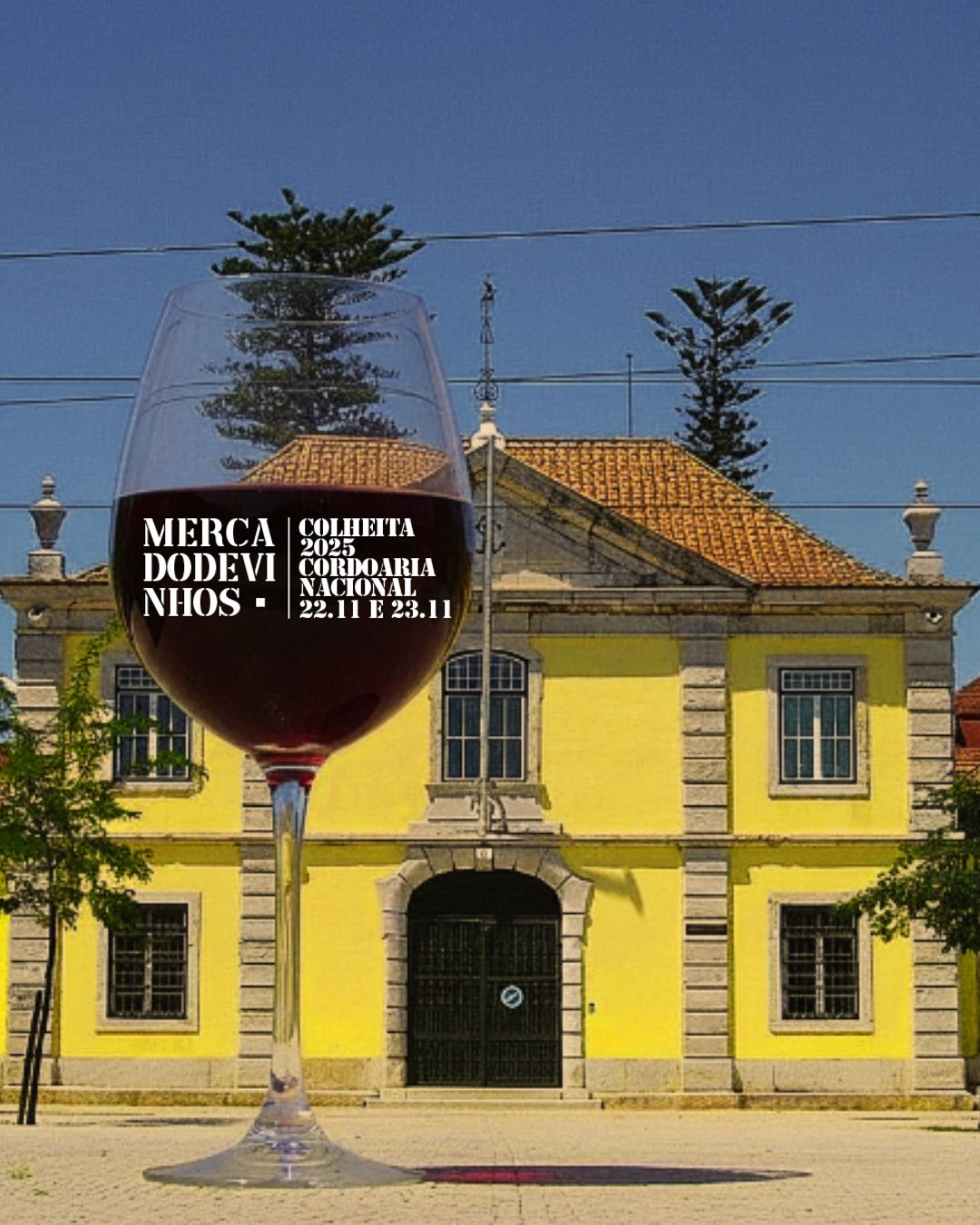 Mercado de Vinhos