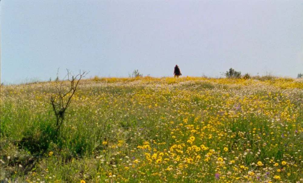 ‘As Estações’ de Maureen Fazendeiro